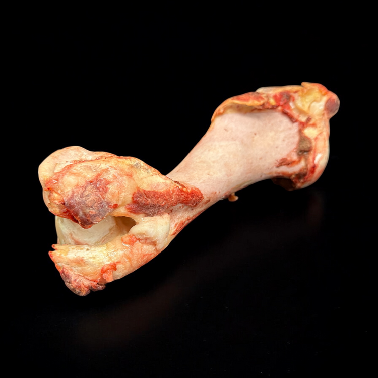 knochenmehle-barf-calcium-vitacanin